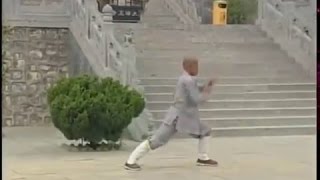 Shaolin big penetrating kung fu (tong bi quan) B