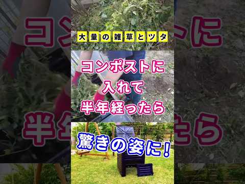 庭に堆肥をいつ、どのように追加するのですか?知っておくべきことはすべて！  庭園