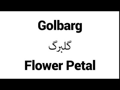How to Pronounce Golbarg! - Middle Eastern Names