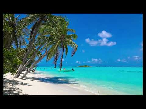 4 Hour Relaxing Tropical Beach Sea Waves Study Sleep Meditate Relax