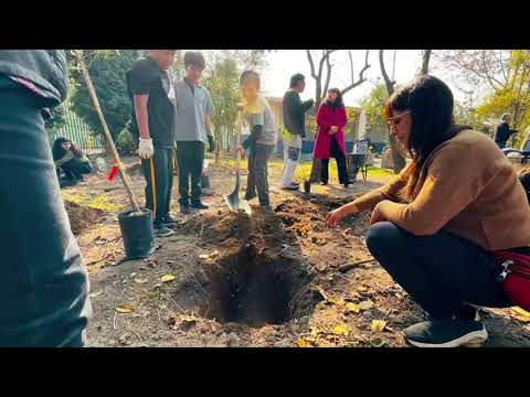 YouTube video