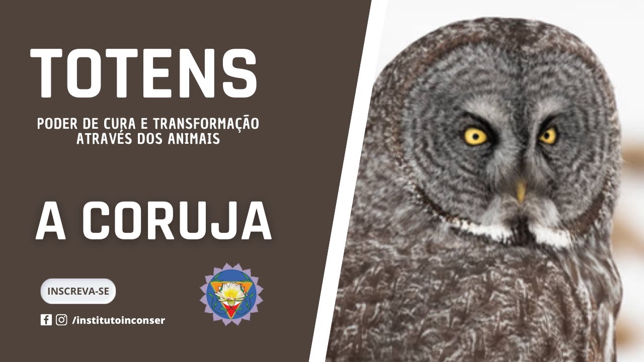 Cura e transformação  - Totem da Coruja