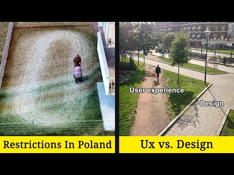 Desire Paths: The Illicit Trails That Defy The Urban Planners
