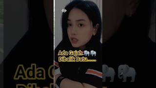 Download lagu There's an Elephant Behind the Stone #musicentertainment #songlyrics #viralvideo mp3