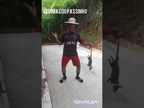 mc Elvis e mc Vitinho polêmico tome no timbu coreografia