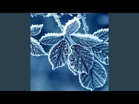 Frosty (feat. D Flight Wavvy)