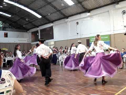 Tatu de Castanhola - Marca do Sul