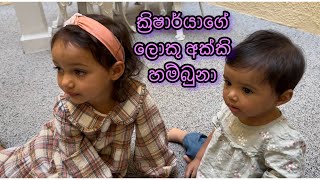 ක්‍රිෂාර්යාගේ ලොකු අක්කි හම්බුනා | Krisharya met her big sis Anika for the first time