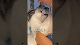 Download lagu How Cats Say I LOVE U 💕 #facts mp3 Download lagu How Cats Say I LOVE U 💕 #facts mp3