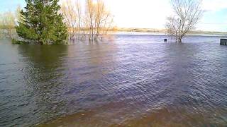 preview picture of video 'Pelican Point (A.K.A. Smoky's Landing) Jamestown Dam flooding 2009'