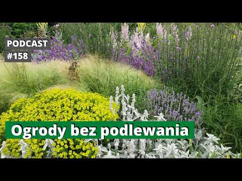 NoO 158. Ogrody bez podlewania