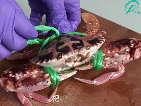 蔡博士的料理食堂影片  清蒸花蟹