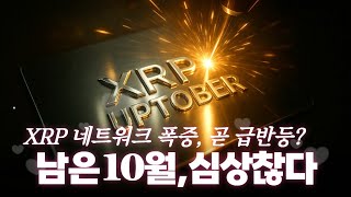 XRP 네트워크 폭증, 무슨일? 찐 업토버 예고