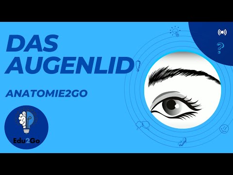 Anatomie2Go - Das Augenlid (kurz erklärt)
