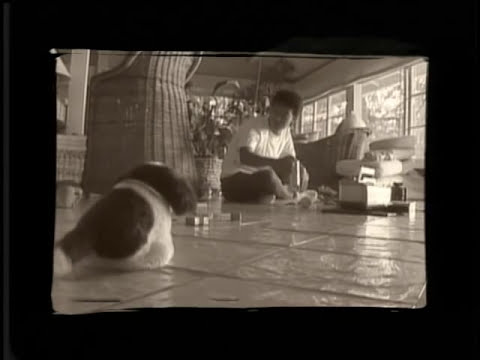 DOUBLE RAINBOW［OFFICIAL MUSIC VIDEO］