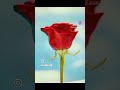 Song Kal Ki Haseen Mulaqat Ke Liye