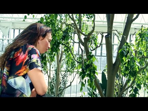 Quantum physics of plants