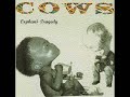 Cows - Smell Shelf