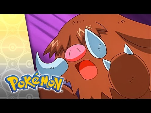 As Cold as Pryce | POKÉMON FULL EPISODE 28 | Season 5