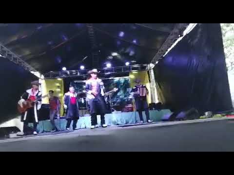 Halcones del Norte - Entre Perico y Perico