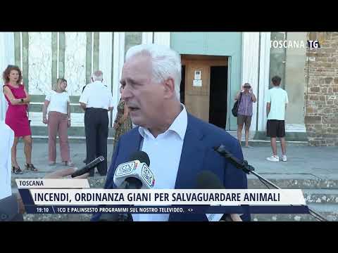 2022-08-04 TG REGIONALE ORE 19.00