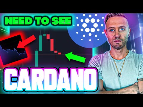 CARDANO Mystery Data FOUND! ! (This ADA Price PULLBACK Is GOOD!)