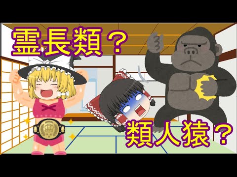 島の進化について詳しく解説