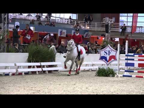 Coupe de Coeur - Salon des Etalons de St-Lô