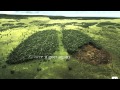 No longer there- The Cat Empire.m4v