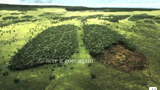 No longer there- The Cat Empire.m4v