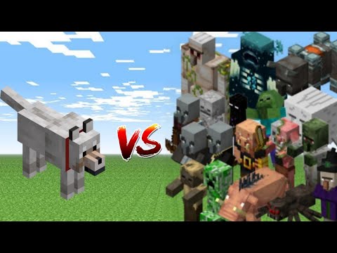 Tamed Wolf vs Every mob in Minecraft (Java Edition) - Minecraft Dog vs All Mobs