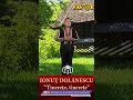 Ionuț Dolănescu Tinerețe Tinerețe Doarhituri