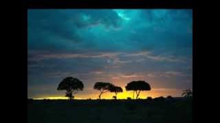 DEEP FOREST- GOIANO (Del álbum Brasil Profundo 2008).