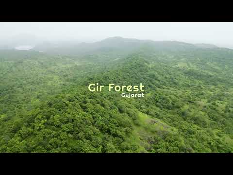 Explore the Umiam Lake in Meghalaya,India a favored destination for tourists seeking natural beauty