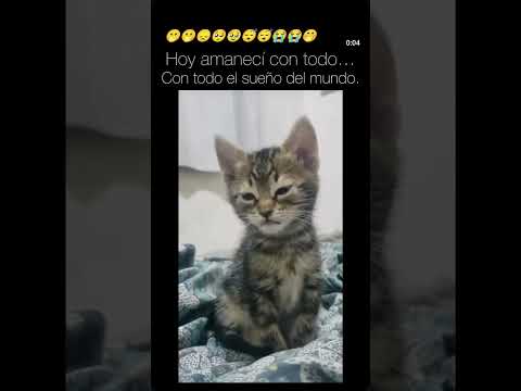 11 de agosto de 2025