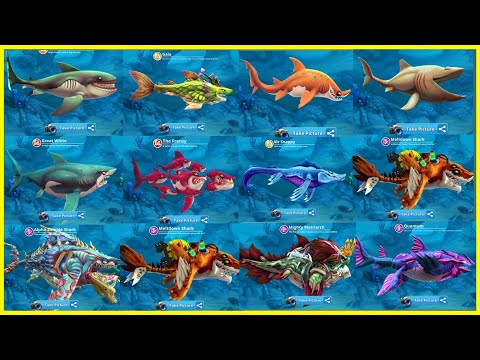 Hungry Shark World All Giant Sharks Unlocked - New XXL & Special Sharks