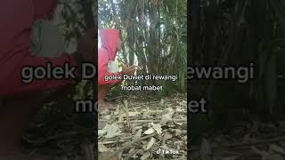 Download lagu Story wa lucu 30 detik terbaru || jopa japu komat kamet-viral tiktok mp3