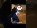 SONIA VS ME HELLO SONIA BR RANK Freefire Freefire Editing