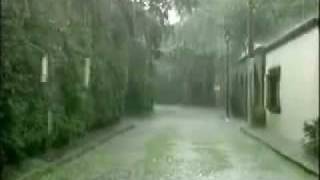 Pepe Aguilar - Este Terco Corazon