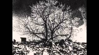 The Bevis Frond - Stain on the Sun (1990)UK Psych Rock