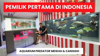 PEMILIK PERTAMA DI INDONESIA !!! AQAURIUM IKAN PREDATOR CANGGIH DAN MEWAH DI MARKAS JAMM VLOG