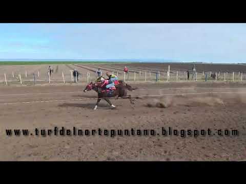 Heredera, Los Cerrillos (28-5-23)