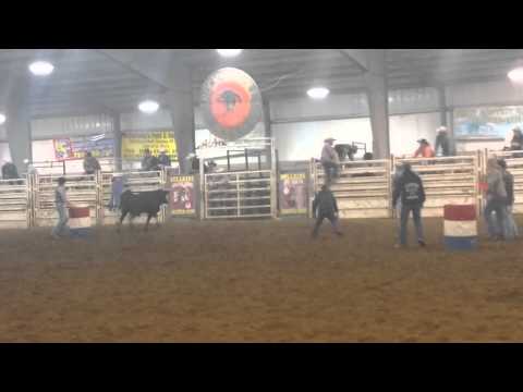 Bull hockey @ Bull ride mania