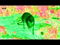 FUGE MÄ OON Visualizer