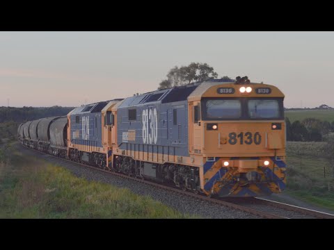 Pacific National Grain trains around the Geelong Area