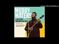 Muddy Waters - Take the Bitter with the Sweet - RevolutionMusicPalace Muddy Waters - Take the Bitter with the Sweet