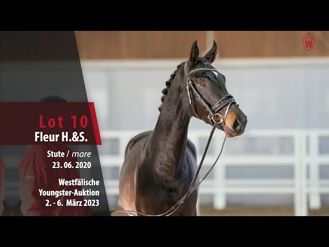 Youngster-Auktion Lot 10 Fleur H.&S. Stute v. Farrell - Sandro Hit
