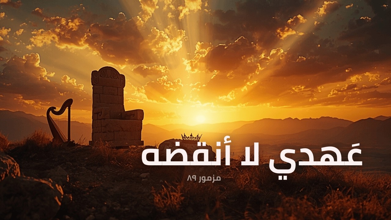 فيديو تفسير الكتاب المقدس | الكتاب المقدس رفيقي