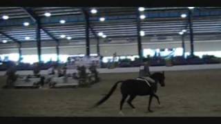 2009 Region 14 Arabian Hunter Pleasure JOTR 13 & Under Part 2