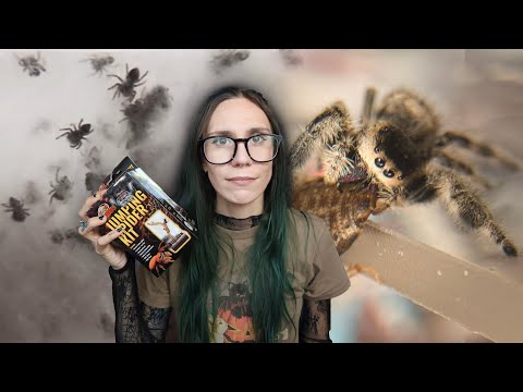 Petsmart's MESSY Jumping Spider Controversy + Testing the NEW JUMPING SPIDER KIT!